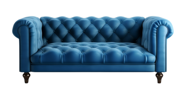 Sleeper Sofa 2